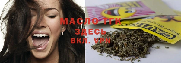индика Абинск