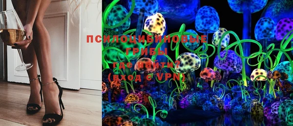 индика Абинск