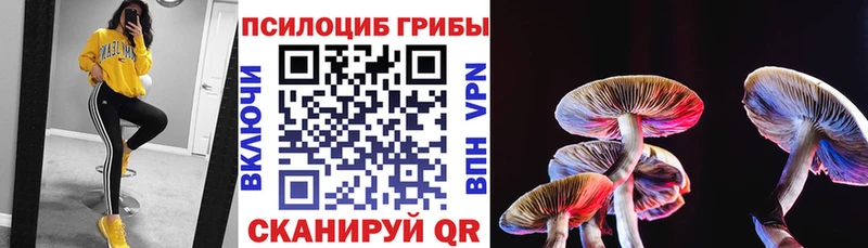 Галлюциногенные грибы мухоморы  Тарко-Сале 